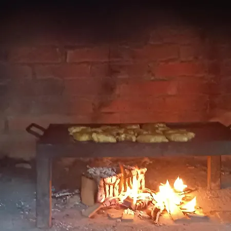 Stibel *